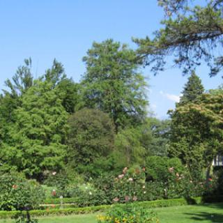 JARDIN DES PLANTES