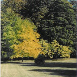 PARC DE L'ABBAYE DE VAULUISANT