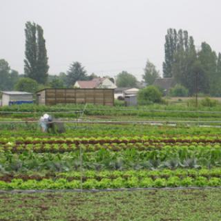 LA BARATTE LOIRE ET JARDINS