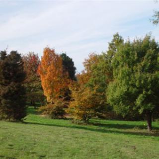 ARBORETUM DE BOISCORDE