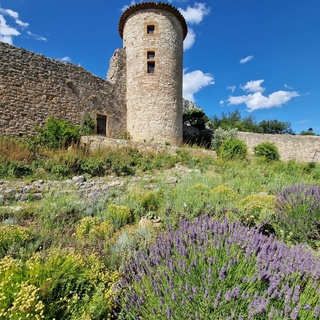 Jardin du Château de Baulx