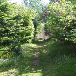 JARDIN DE SAINT MARTIN