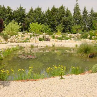 JARDIN AQUATIQUE « AUX FLEURS DE L'EAU »