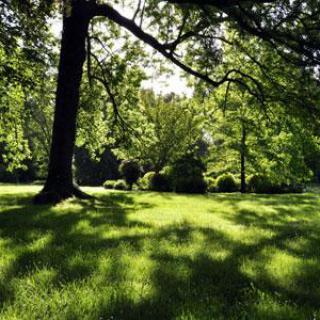 Parc de l'hôtel de ville de Lardy