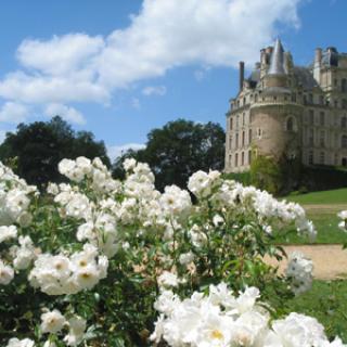 PARC DU CHÂTEAU DE BRISSAC