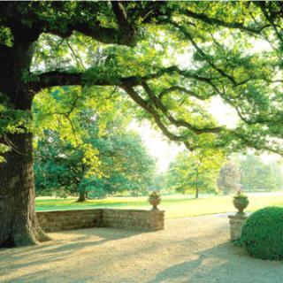 PARC DE SCHOPPENWIHR