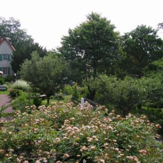 JARDIN DE LA VILLA ROSA