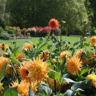 PARC DÉPARTEMENTAL DE LA COURNEUVE