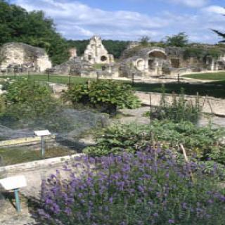 JARDIN DE PLANTES MÉDICINALES DE L'ABBAYE DE VAUCLAIR