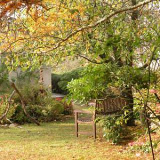 Le jardin du fond de l'or