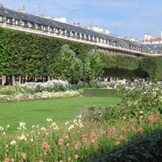 JARDIN DU PALAIS ROYAL