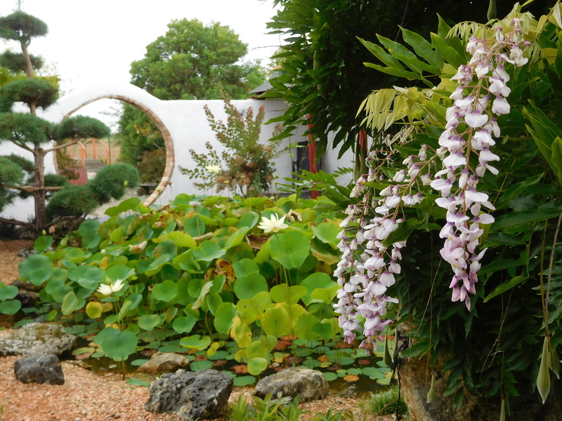 Le jardin où l'on s'attarde