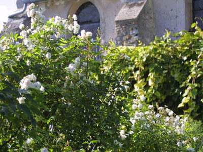 LES JARDINS DE VIELS-MAISONS