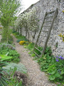 HERBARIUM DES REMPARTS