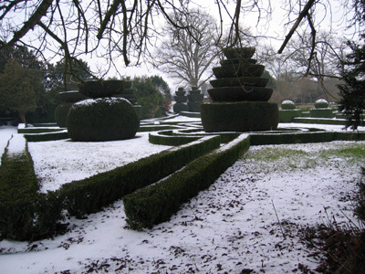 JARDIN DE GRENOUILLON