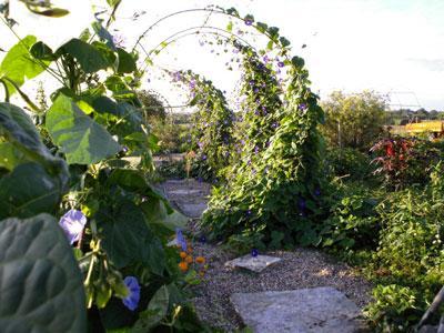 Le Jardin d'Elisée