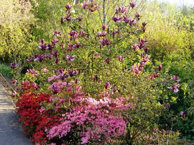 Jardin Flore et Sens