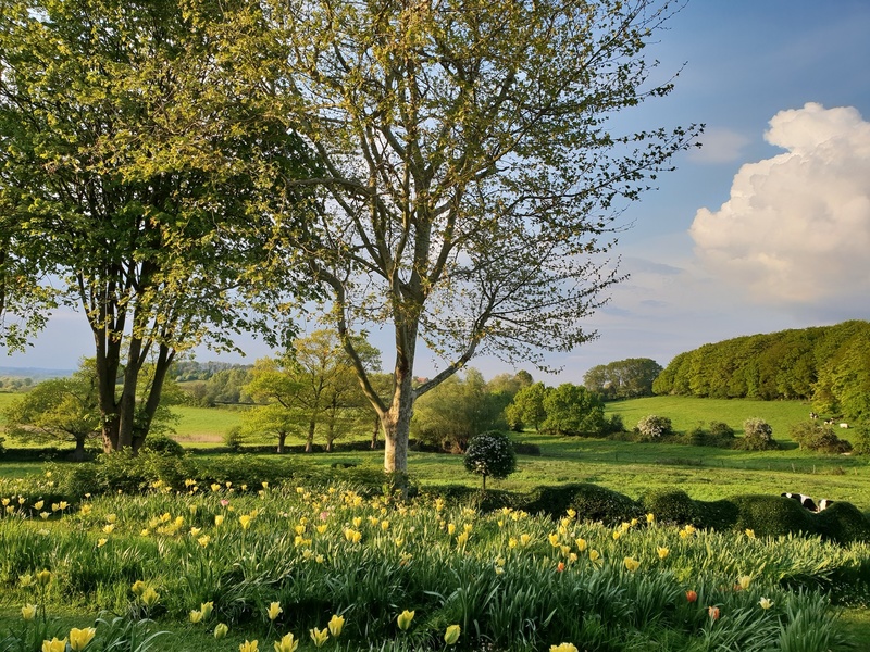 JARDIN DU MONT DES RECOLLETS