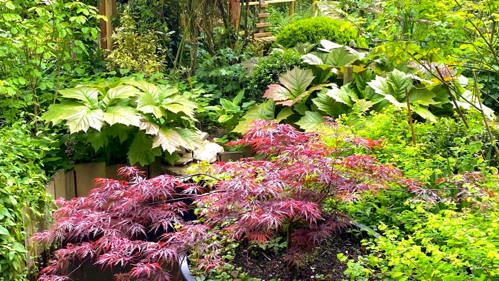 Jardin du coudray