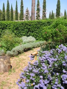 PARC ET JARDIN DU CHÂTEAU DE FLAUGERGUES