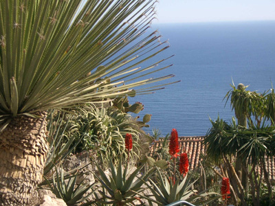 JARDIN D'EZE