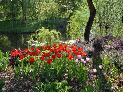 Jardin du peintre André Van Beek