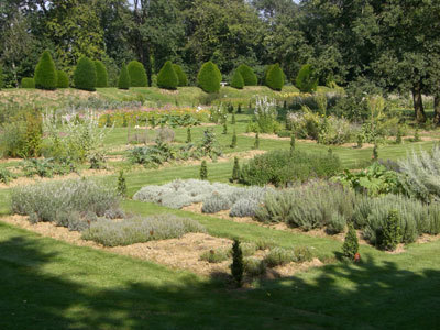 JARDIN DU PRIEURÉ SAINT PIERRE