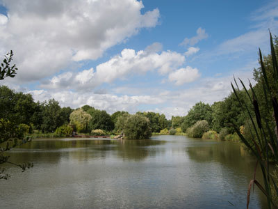 LES JARDINS DU LORIOT