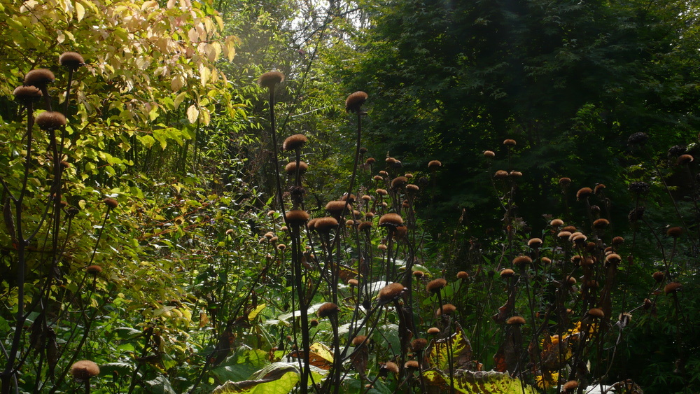 JARDIN D'ART ET D'ESSAIS