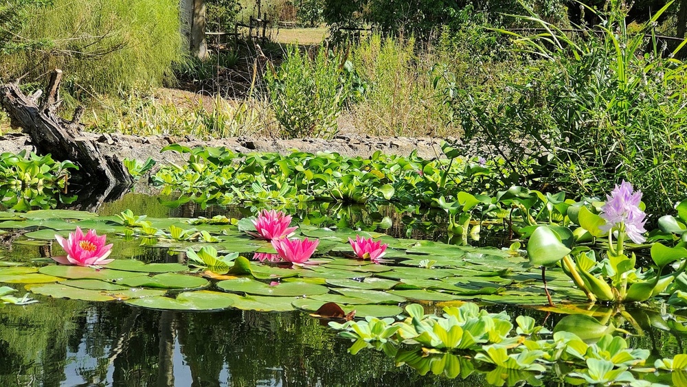 Les Jardins du Musée International de la Pafumerie