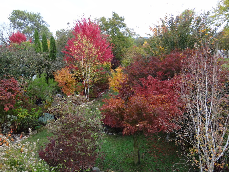 JARDIN DU GRAND CHARME