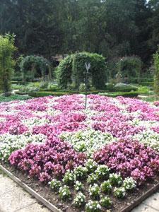 JARDINS DU CHÂTEAU D'ARLAY