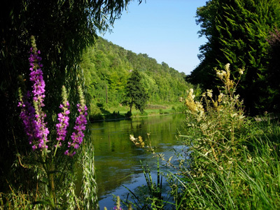 PARC DU CHÂTEAU D'ACQUIGNY