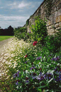 PARC DE LA VARENNE