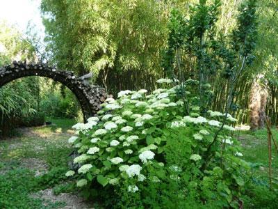 JARDIN DU CLOS DE SAINT SATURNIN