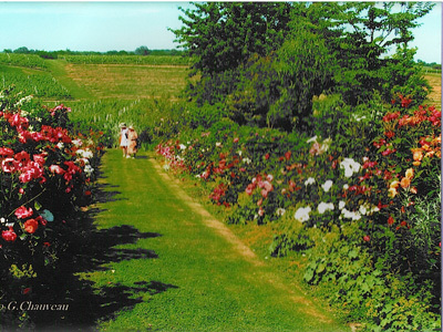 JARDIN DE LUSSEAU