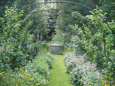 LES JARDINS DE MONTUBOIS