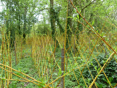 Le Parc des Doublorigènes