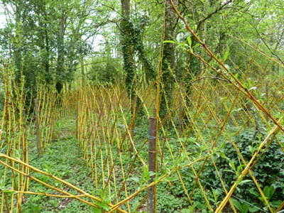 Le Parc des Doublorigènes