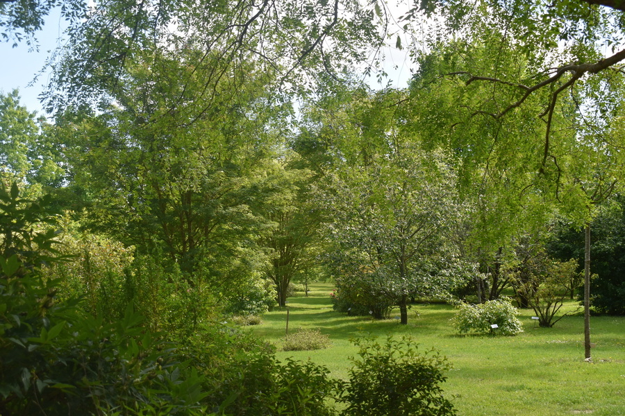 Arboretum Adeline