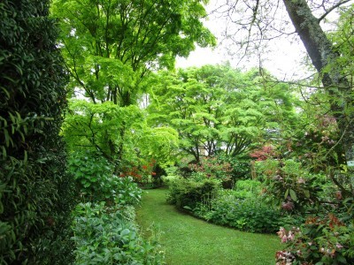 JARDIN DU MESNIL ET PARC BOTANIQUE DE BRAY