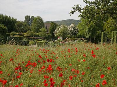 JARDIN DU MUSEE DES IMPRESSIONNISMES