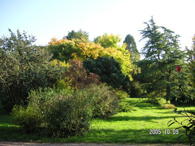 JARDIN DE MARDALOUX