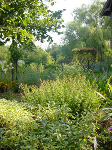 LES JARDINS PÉDAGOGIQUES DU MUSÉE DU PAYS DU DER