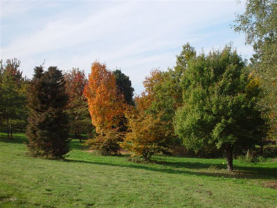 ARBORETUM DE BOISCORDE