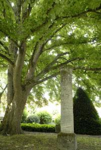 Jardin du Musée de la Princerie