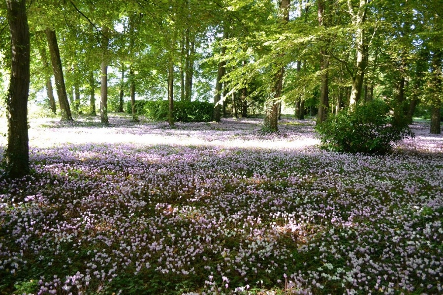 Parc de Lesseps