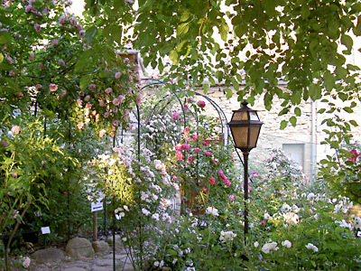 JARDIN DE L'ABBAYE DE VALSAINTES