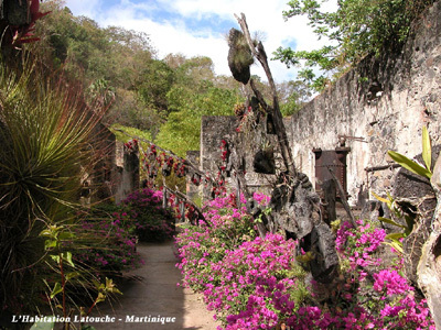 HABITATION ANSE LATOUCHE