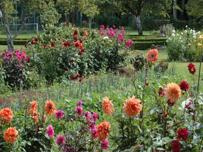 PARC DU CHÂTEAU DE BOISSY-LE-SEC